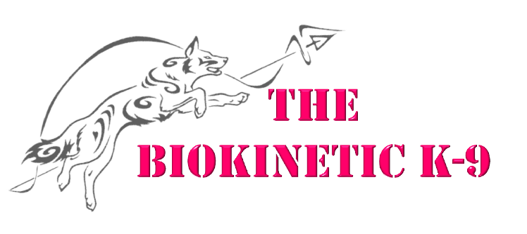BK9 Logo