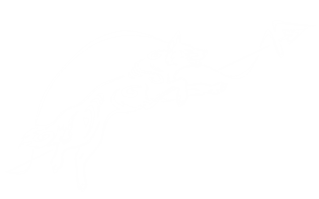 Biokinetic_K9_Dog_-_White