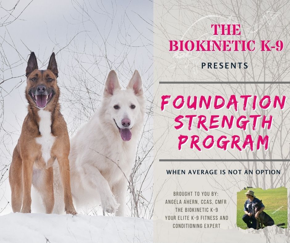 Foundation Strength Program