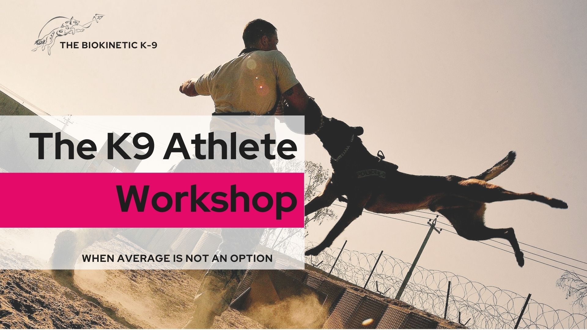 THE BIOKINETIC K-9 Athlete Workshop