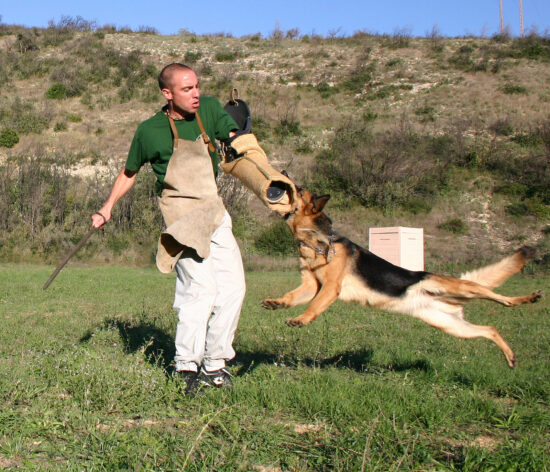 GSD and Helper Helper and GSD