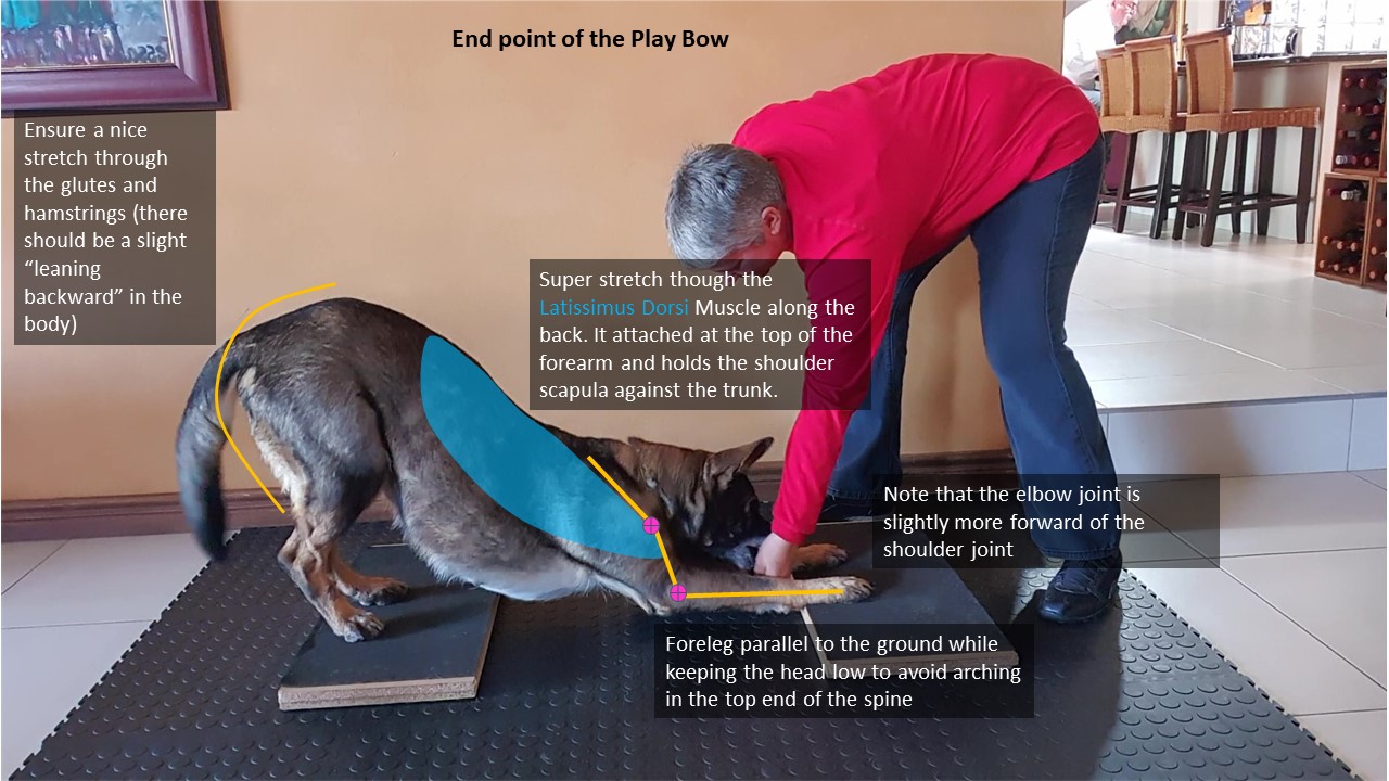 Demo of the Play Bow end point