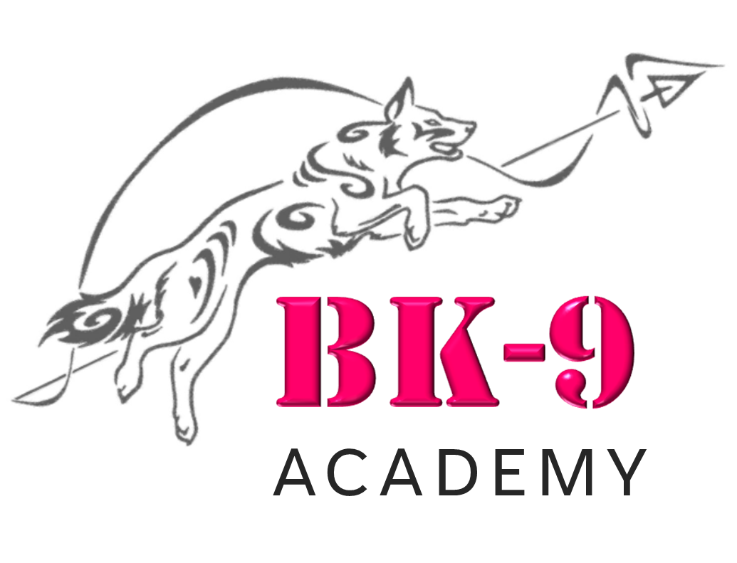 BK9 Academy logo