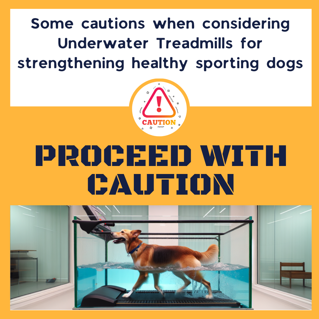 Some cautions when considering Underwater Treadmills for strengthening healthy sporting dogs (2)
